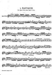 12 Fantasias for solo flute
